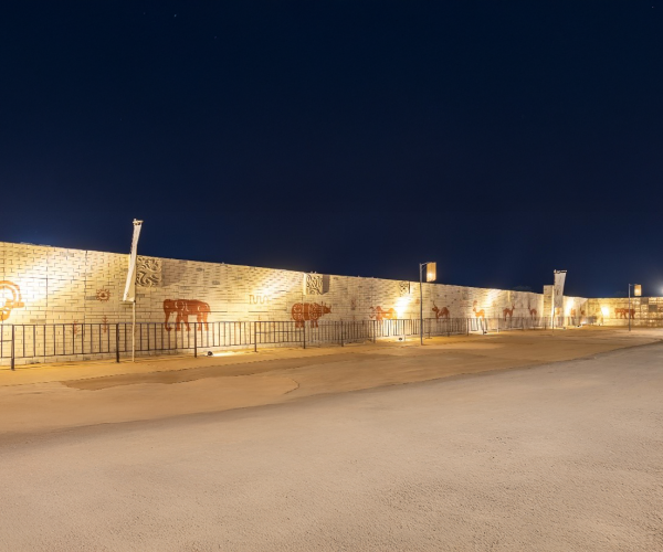 Kutch Wildlife Sanctuary