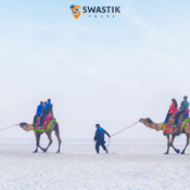 Rann Utsav 2026 A Complete White Desert Festival Guide